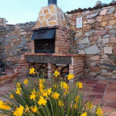 La Casa Del Buho Santa Maria la Real de Nieva Exterior foto